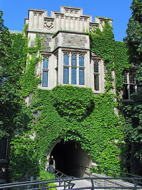 istock College building with ivy 165426546