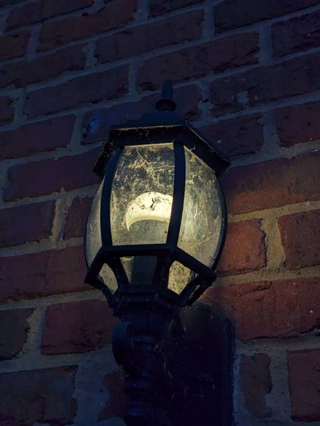 istock Outdoor Light Fixture 1654281514