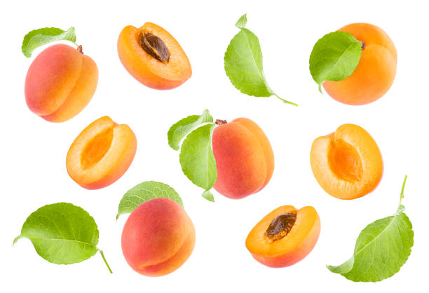 istock Juicy orange apricot with pink side and green leaves pattern isolated on white background, collection. Whole, half fruits fly, closeup, different sides. Summer fruits - design element for advertising. 1654283667