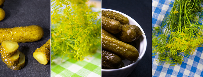Collage of pickled cucumbers and dill. gherkins on a black background and dill with yellow flowers