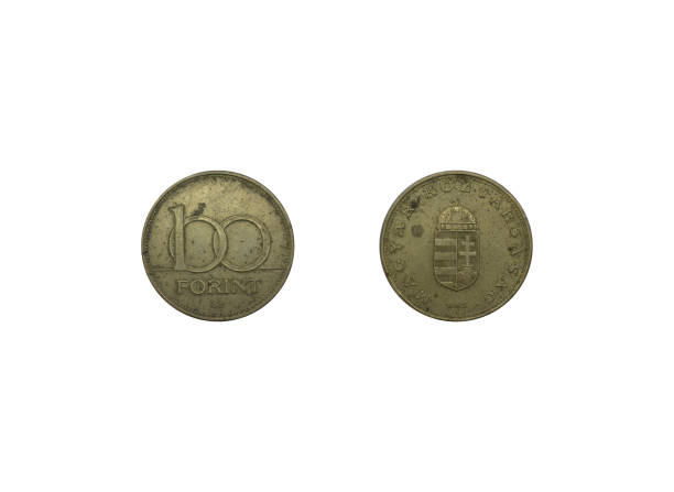 istock Hungary 100 forints 1995. Coins of Hungary 1654297025
