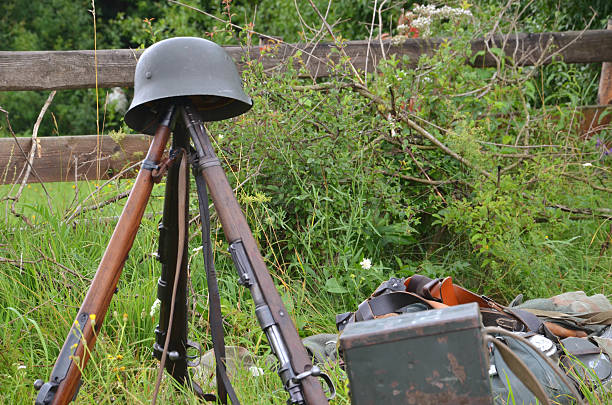 istock Historic guns (ww2) displayed on the meadow 165431255