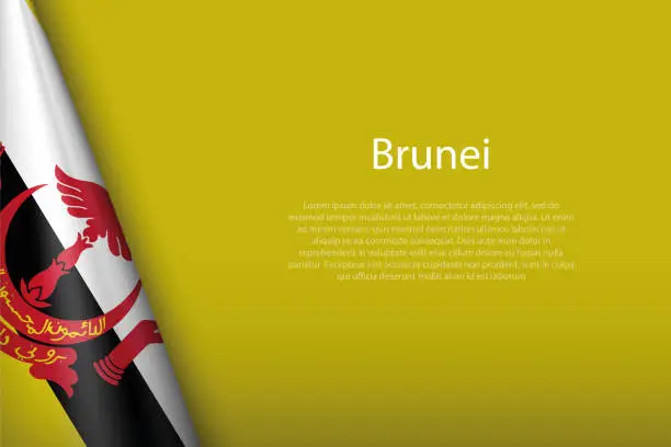 Vector illustration of national flag Brunei isolated on background with copyspace