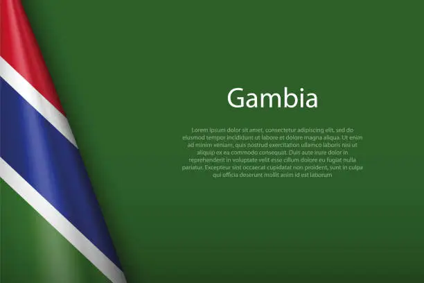 Vector illustration of national flag Gambia isolated on background with copyspace