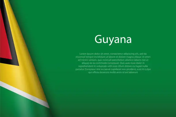 Vector illustration of national flag Guyana isolated on background with copyspace