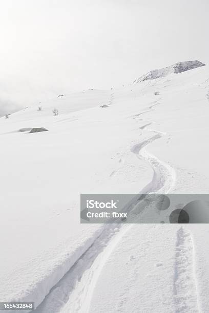 Genießen Sie Den Pulverschnee Stockfoto und mehr Bilder von Abenteuer - Abenteuer, Aktivitäten und Sport, Alpen
