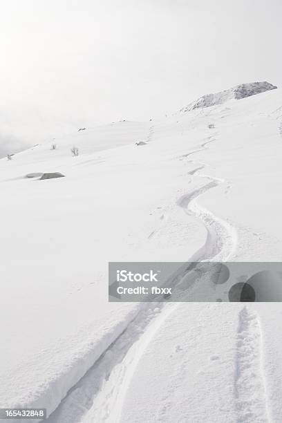 Desfrutar De Neve Recente - Fotografias de stock e mais imagens de Alpes Europeus - Alpes Europeus, Ao Ar Livre, Aspiração