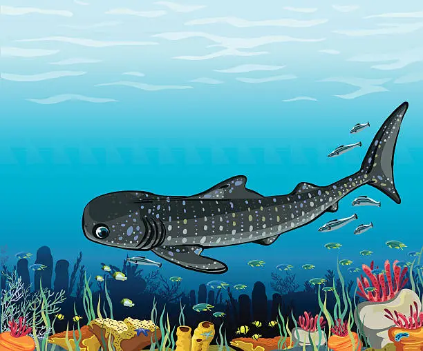 Vector illustration of Whale shark and coral reef.