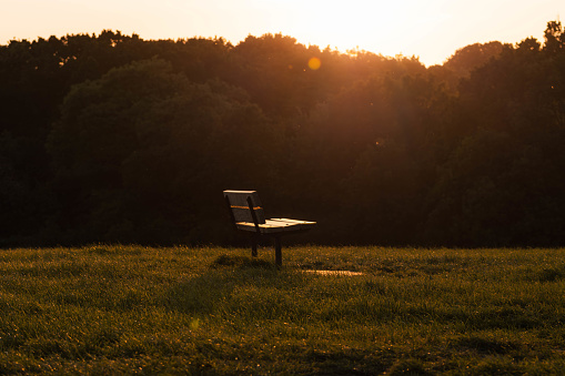 Centered Wooden Park Bench Isolated with Sunset Golden Hour Background with trees. Relaxing, landscape, silhouette, nature