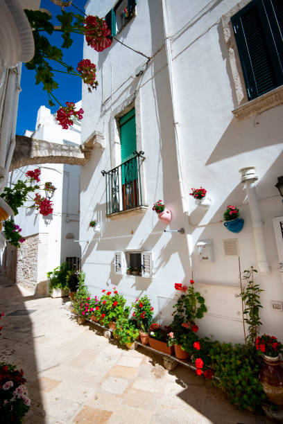 istock Town of Locorotondo 1654369190