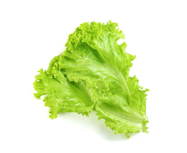 istock Lettuce leaf isolated on white background ,Green leaves pattern ,Salad ingredient 1654377862