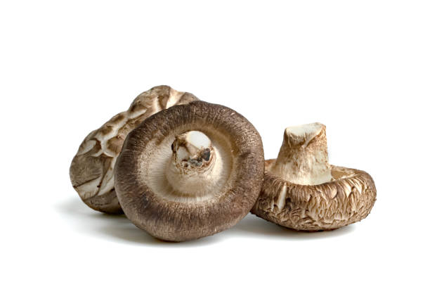 istock Shiitake Mushrooms isolated on white background 1654381256