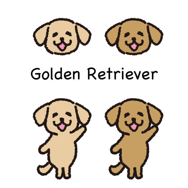 Calendario Dell'Avvento 2025 Golden Retriever - 24 Decorazioni Acriliche 2D A Tema Cucciolo, Regalo Di Natale Per Amanti Degli Animali