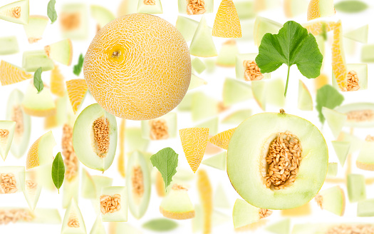 Abstract background made of Sugar Melon fruit pieces, slices and leaves isolated on white.