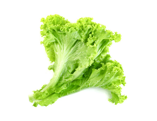 istock Lettuce leaf isolated on white background ,Green leaves pattern ,Salad ingredient 1654385670