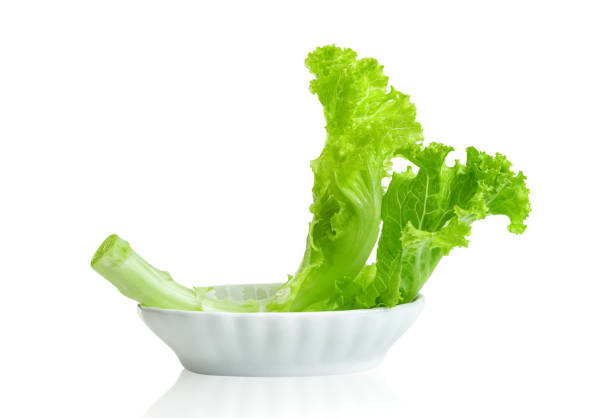 Lettuce leaf with bowl isolated on white background ,Green leaves pattern ,Salad ingredient ,include clipping path
