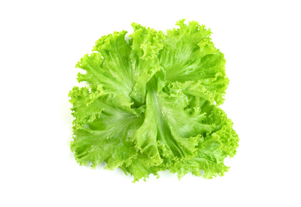istock Lettuce leaf isolated on white background ,Green leaves pattern ,Salad ingredient 1654391334