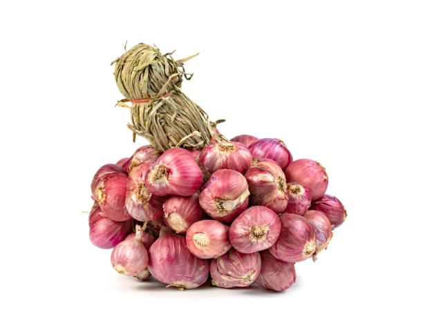 istock shallots onion isolated on a white background 1654394740