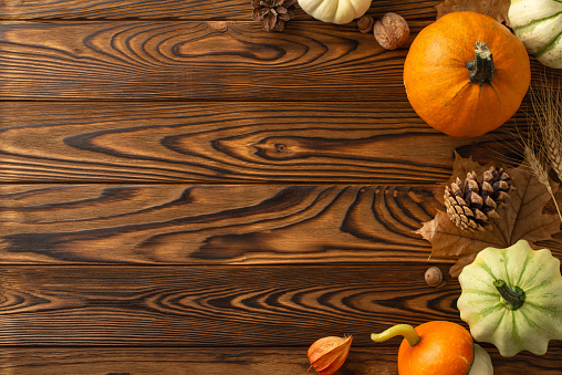 Embrace autumn's harvest theme. Top view displays ripe pumpkins and autumnal attributes on a dark wooden background, leaving space for text or advertisements to enhance the seasonal narrative