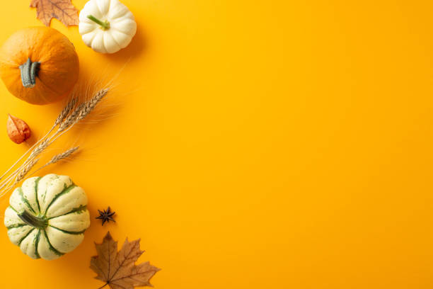 istock Thanksgiving harvest setup: Top view shot capturing pumpkin, pattipans, wheat, maple leaves. Showcasing physalis and anise against an orange backdrop, with room for text or adverts 1654408572