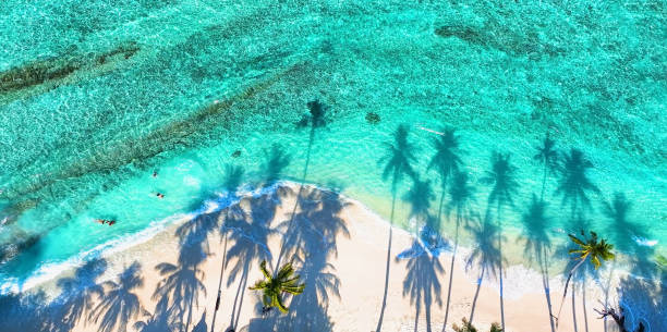 istock Summer palm tree  and Tropical beach with blue  sky background 1654472939