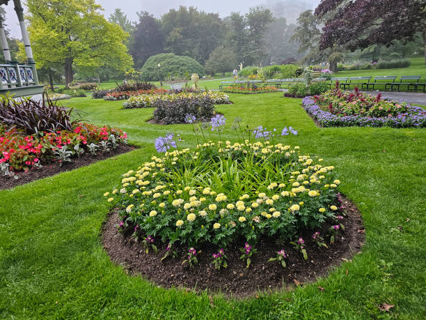 istock Well Groomed Garden Area 1654490706