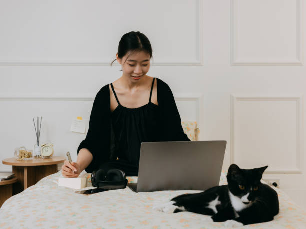 uma jovem chinesa asiática está trabalhando em casa e sentada em uma cama com um gato preto. - shorthair cat audio - fotografias e filmes do acervo