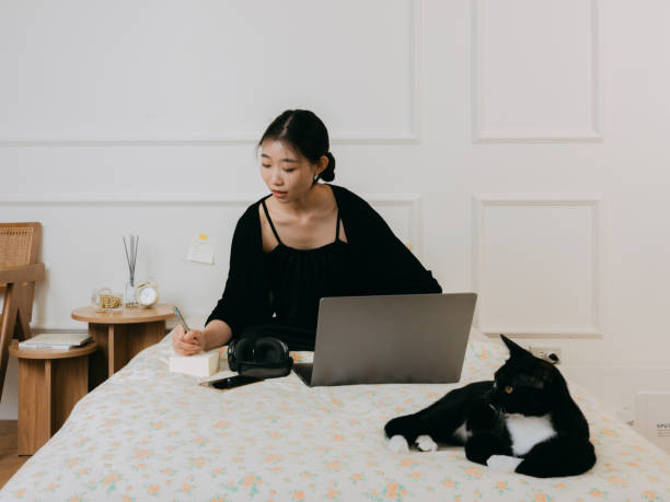 uma jovem chinesa asiática está trabalhando em casa e sentada em uma cama com um gato preto. - shorthair cat audio - fotografias e filmes do acervo