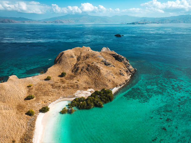 istock Top View Pink Beach Komodo Island, Indonesia 1654522624
