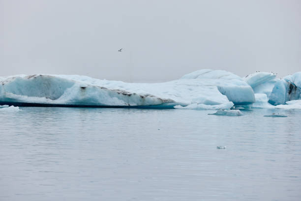 айсберг в исландии. айсберг, впадающий в лагуну джокульсарлон, отделенный от фронта ледника. - natural disaster glacier iceberg melting стоковые фото и изображения