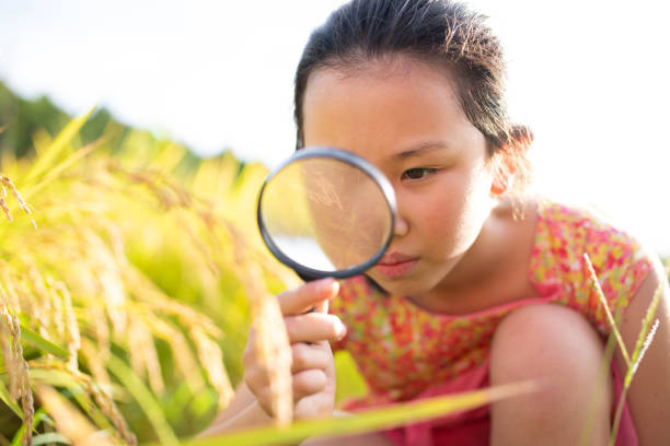 istock A child observing rice with a magnifying glass 1654611269