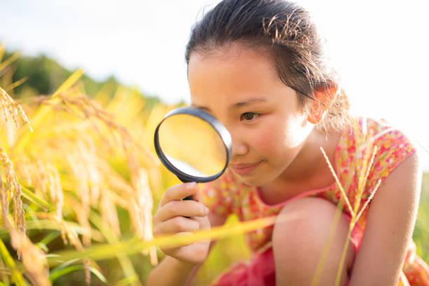 istock A child observing rice with a magnifying glass 1654611273