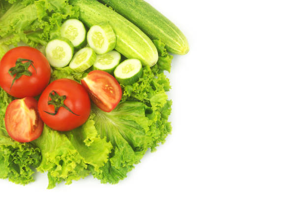 Fresh cucumbers and tomatoes on salad leaves background isolated on white. Copy space for text.