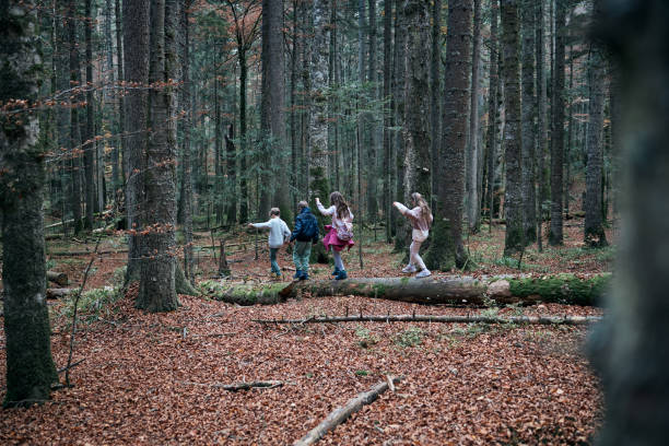 Happy kids enjoying nature games in woodland.