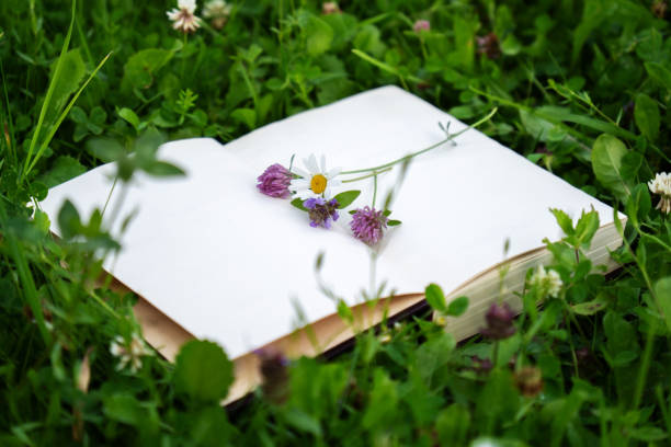 istock Open book with empty pages in the green grass with clover and chamomile flowers 1654667166