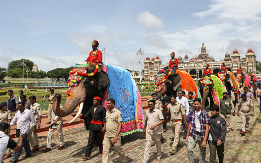 Mysuru, Karnataka, India-August 10 2022; A Parade of Royal Elephants with colorful costumes during the Dasara festival at Mysore Palace in Karnataka, India.