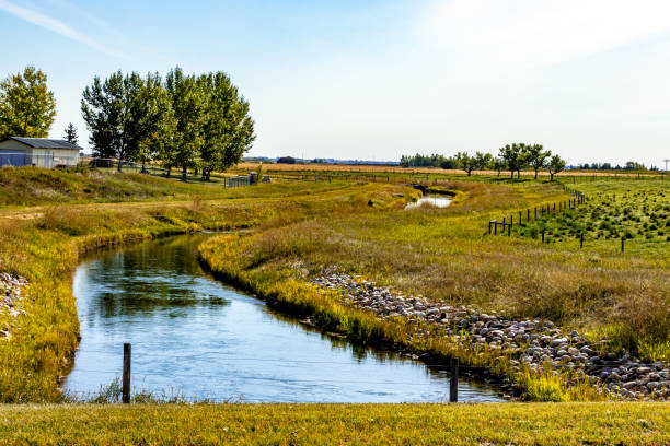 istock A drive through Wheatland County Alberta Canada 1654689955