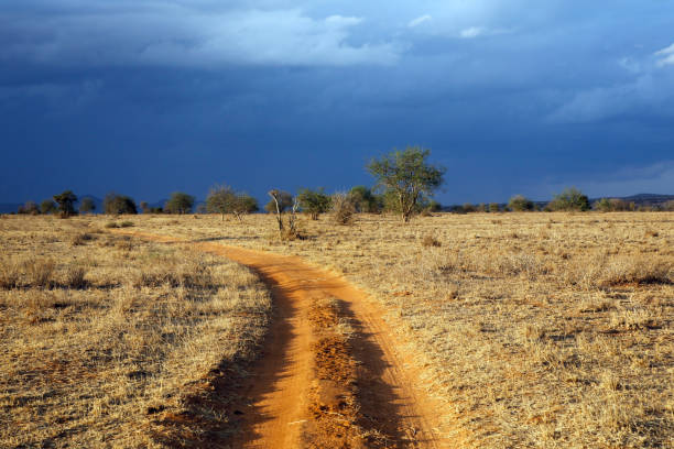 istock Taita Hills Dirt Road 1654735930