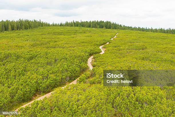 El Lovrenc Lakes Foto de stock y más banco de imágenes de Agua - Agua, Aire libre, Andar