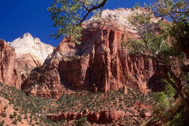 istock Zion National Park, Utah 1654746283