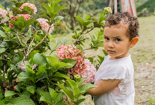 little girl holding some flowers in a field outdoors and looking at the camera