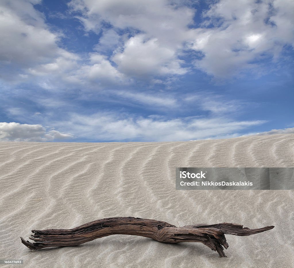 Driftwood et de plages de sable blanc dans la vallée de la mort - Photo de Amérique du Nord libre de droits