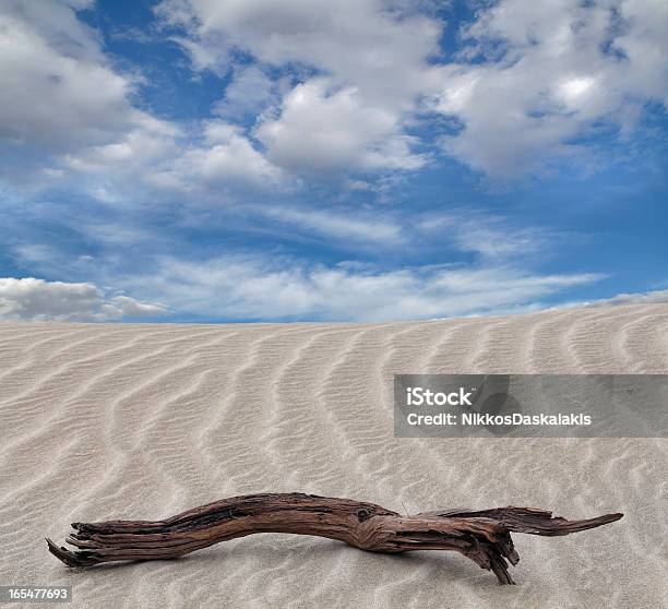 Driftwood E Areia Branca Em Vale Da Morte - Fotografias de stock e mais imagens de América do Norte - América do Norte, Ao Ar Livre, As Américas