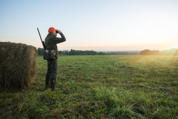 istock hunter with shotgun looking through binoculars in field at sunrise. 1654786617