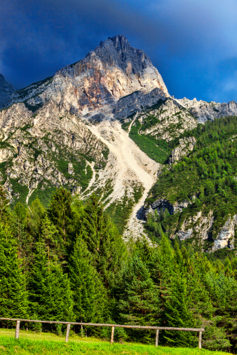 Beautiful image of a fresh green forest at the base of a rocky peak in Dolomites Mountains, Italy.