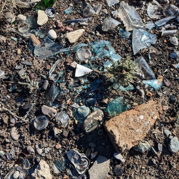 Raising a problem of polluted soil by glass, plastic and metal