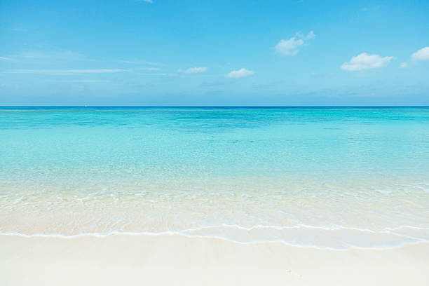 limpar praia branco - horizon over water sand beach sea imagens e fotografias de stock