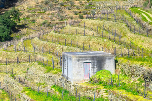 Douro Valley, Portugal