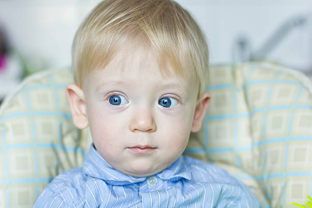 Young gentleman stock photo