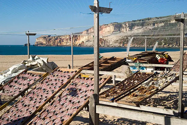 Photo of Drying fish